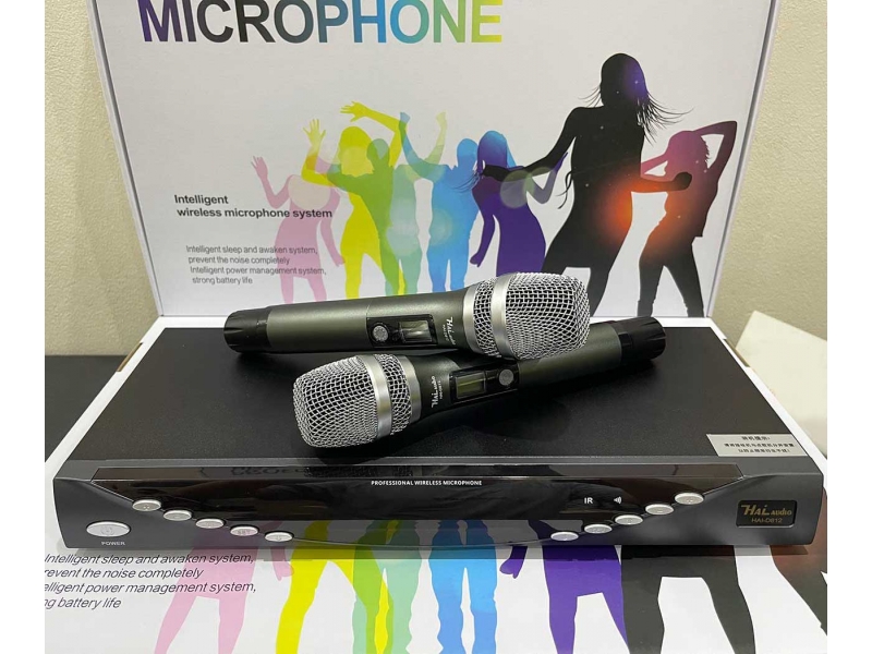 Bộ Microphone không dây Haiaudio HAI-D812